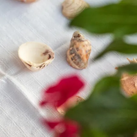 Skourtis Appartamento