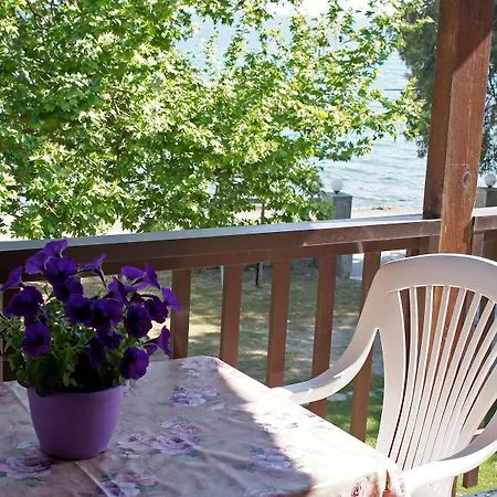 Skourtis Элеонас