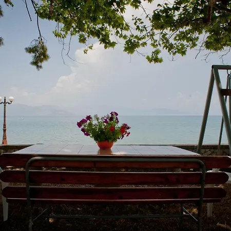 Skourtis * Элеонас