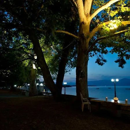 Skourtis Элеонас