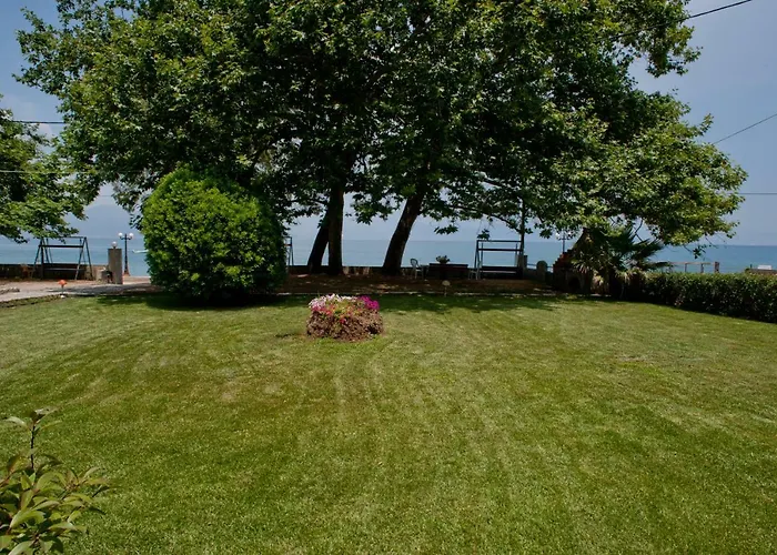 Skourtis Eleonas (Achaia)